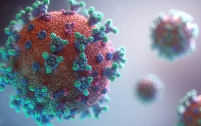 Cómo prevenir futura pandemia